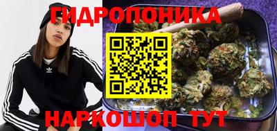 ALPHA PVP Бузулук