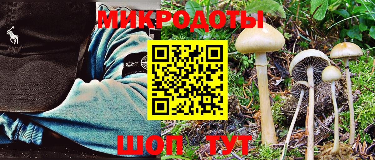 Псилоцибиновые грибы прущие грибы Краснодар